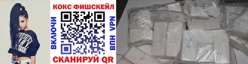Cocaine Fish Scale  Купить закладки  Качканар 