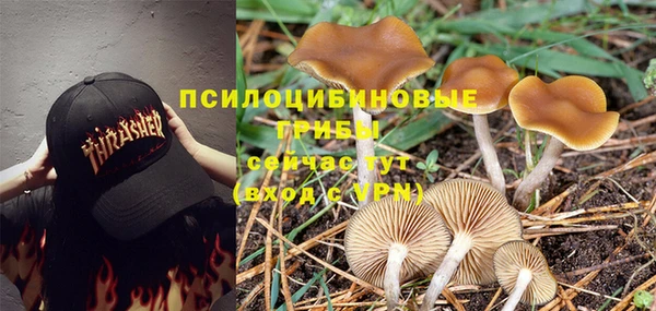 стафф Гусиноозёрск