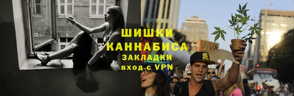 мдпв Гусь-Хрустальный