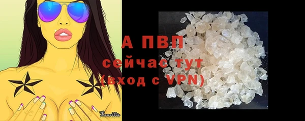 мдпв Гусь-Хрустальный
