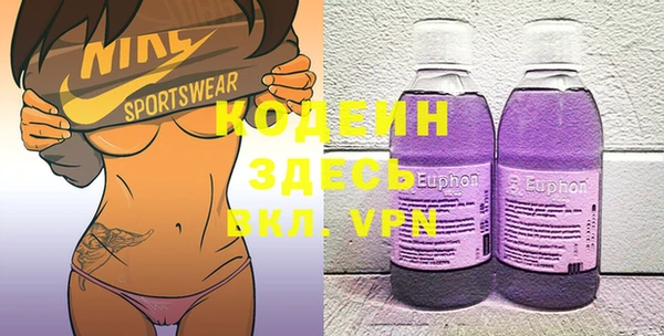 мдпв Гусь-Хрустальный