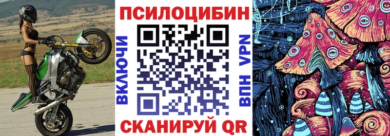 Галлюциногенные грибы GOLDEN TEACHER  Купить закладки  Качканар 